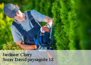 Jardinier  chery-18120 Sozer David paysagiste 18