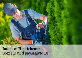 Jardinier  henrichemont-18250 Sozer David paysagiste 18