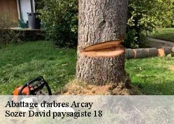 Abattage d'arbres  arcay-18340 Sozer David paysagiste 18