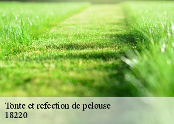 Tonte et refection de pelouse  18220