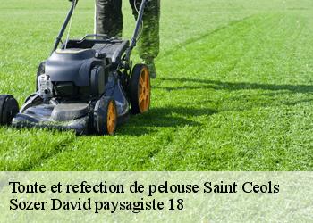 Tonte et refection de pelouse  saint-ceols-18220 Sozer David paysagiste 18