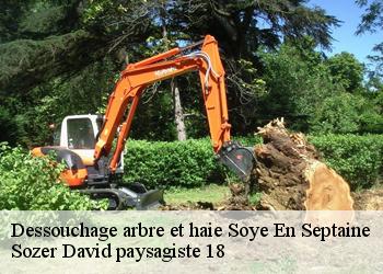 Dessouchage arbre et haie  soye-en-septaine-18340 Sozer David paysagiste 18