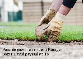 Pose de gazon en rouleau  bourges-18000 Sozer David paysagiste 18