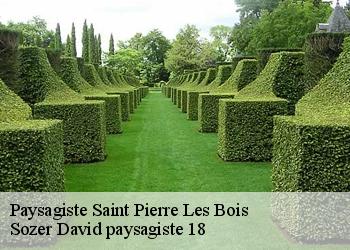 Paysagiste  saint-pierre-les-bois-18170 Sozer David paysagiste 18